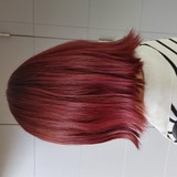ダブルカラー イメージ1